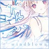 windblown