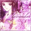 lavendar