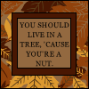 You're a nut.