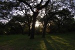 God's peace