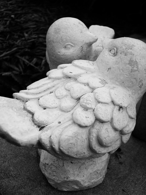Click to view original image