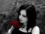 Rose For Thy Love