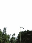 Street