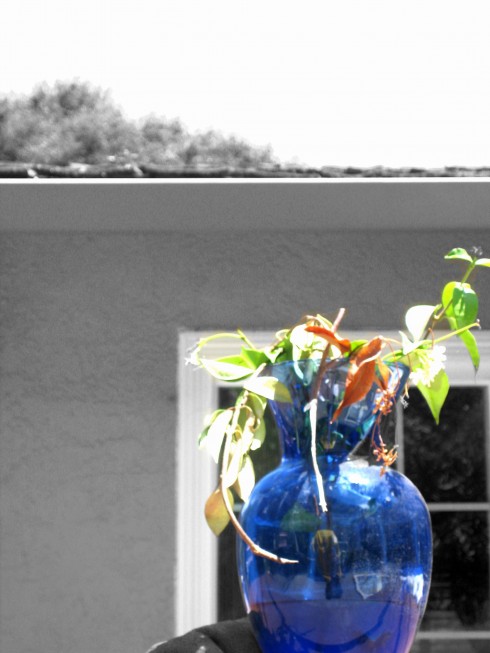 Click to view original image