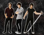 The Jonas Brothers.