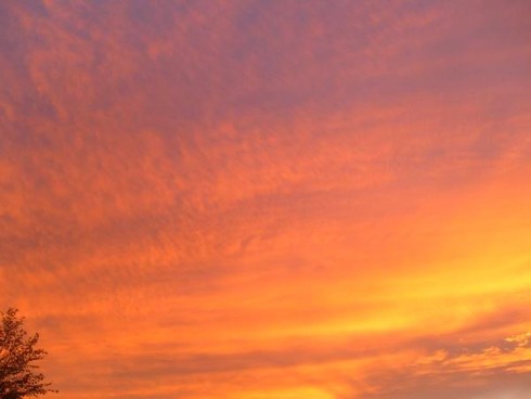 Click to view original image
