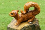 Squirrel!!!