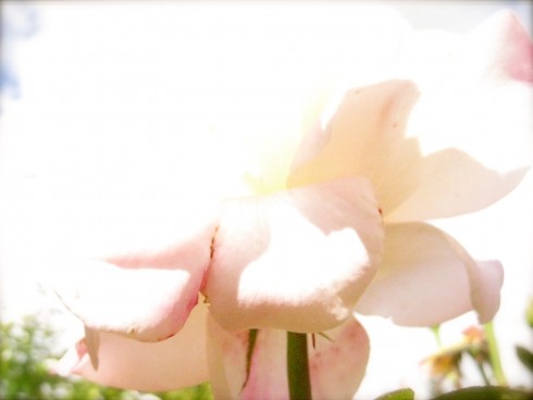 Click to view original image
