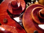 Violas