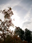 Hello Sun