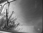 Windshield