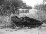 Shoe