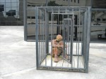 caged.