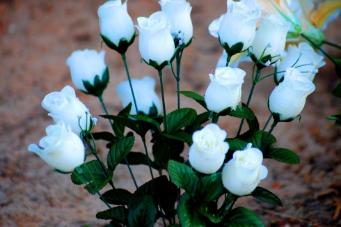 Click to view original image