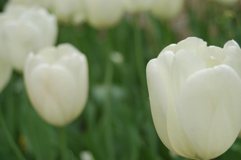 Click to view original image