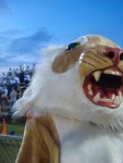 mascot