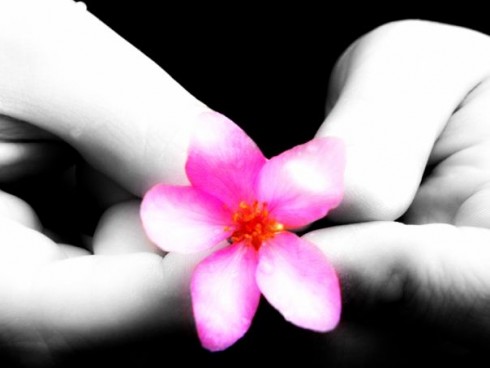 Click to view original image