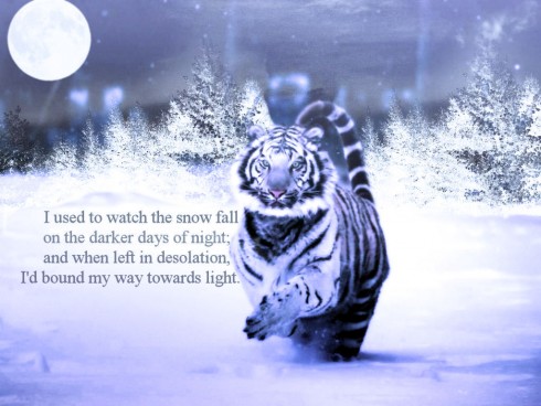 Click to view original image
