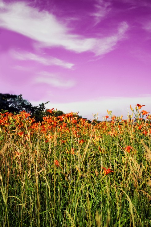 Click to view original image