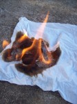 Fire!