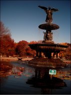 Fountain in Central Park