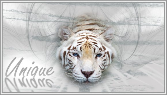 Click to view original image