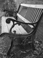 Bench