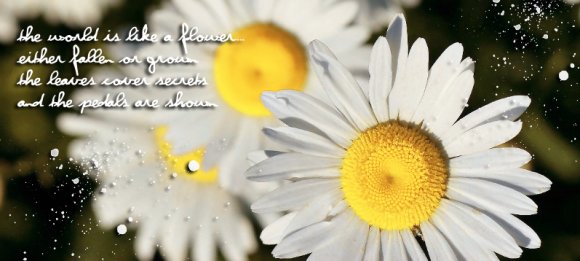 Click to view original image