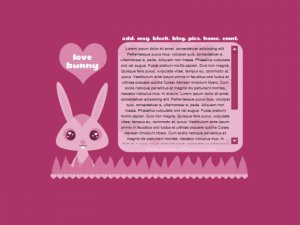 Love Bunny.