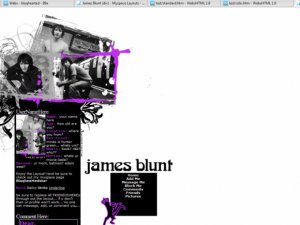 James Blunt (div)