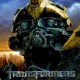 bumblebee2.jpg