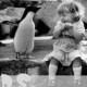 penguin copy.jpg