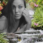 230366732_d11db117.gif