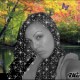 230450594_6a678692.gif