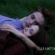 Bella and Edward at the MEADOW