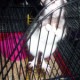 Picture 009.jpg