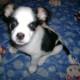 DSC02605.JPG